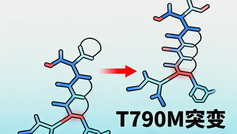 基因检测报告关键信息示意图