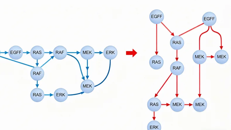 淋巴瘤基因检测核心流程示意图