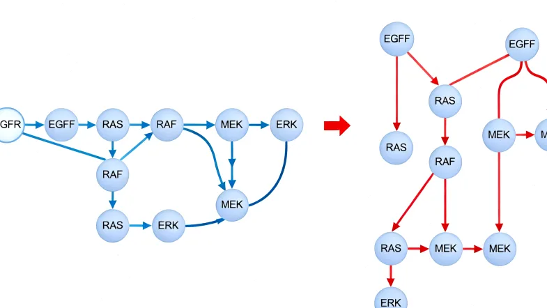 遗传咨询师与体检者沟通家族病史