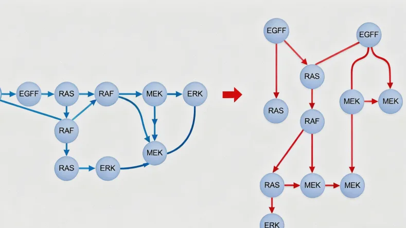 高通量基因测序实验室工作场景
