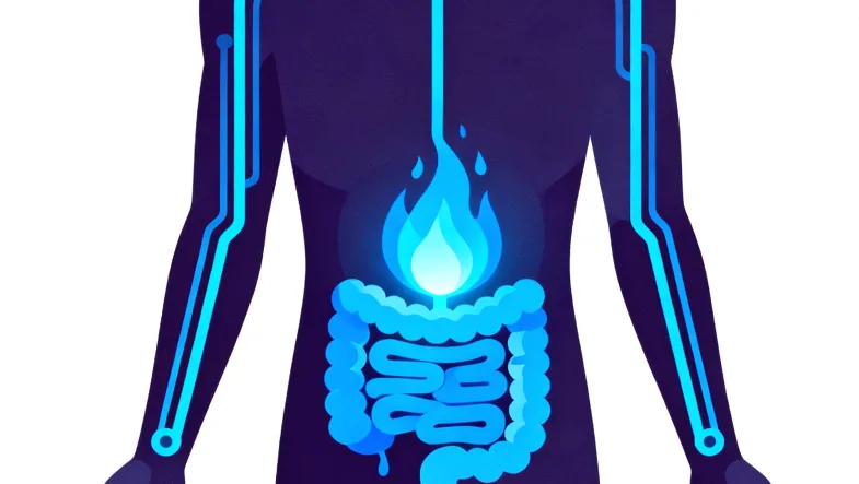 结直肠癌基因检测全流程示意图