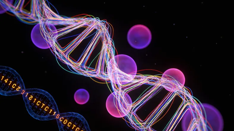 基因检测报告关键部分解读示例