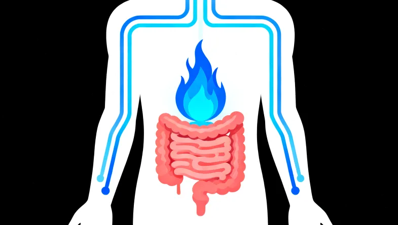 基因检测实验室工作流程简图