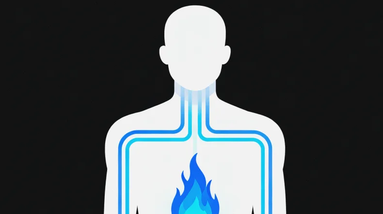 专业样本采集与低温转运箱示意图