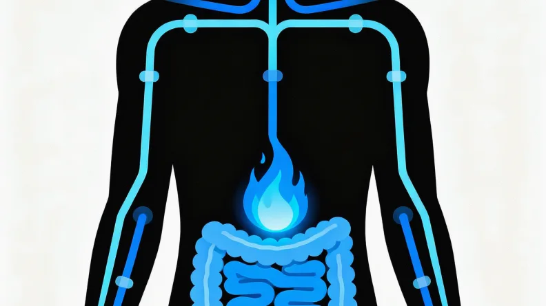 肺癌基因检测精准治疗示意图