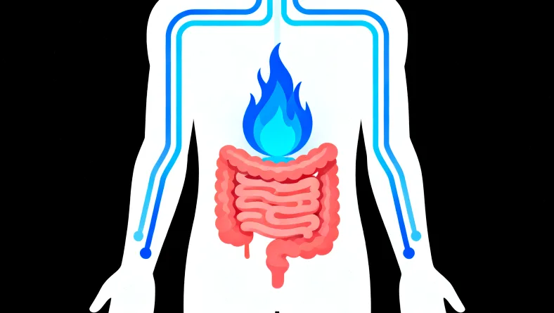 基因检测报告关键信息解读标注图