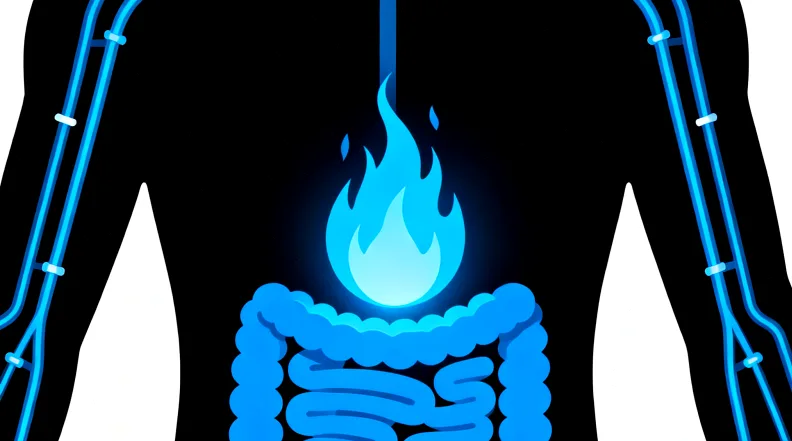 淋巴瘤基因检测核心流程示意图