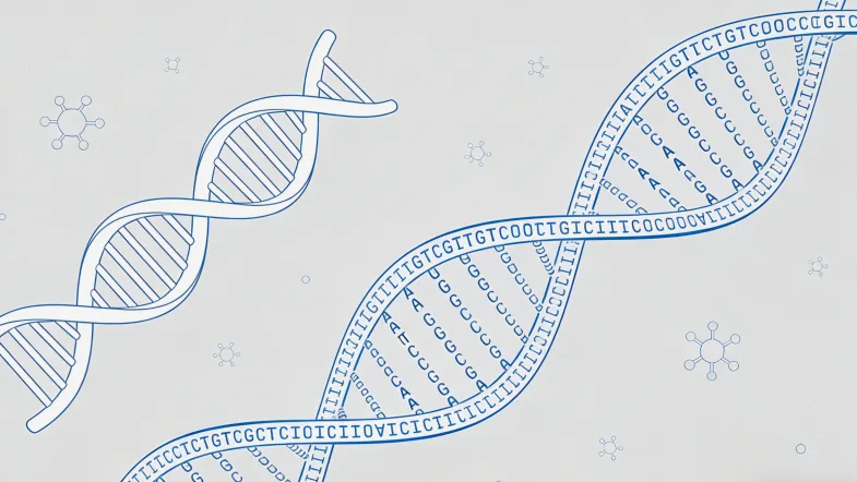 鼻咽癌基因检测核心流程示意图