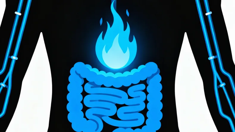 基因检测从样本到报告的全流程简图