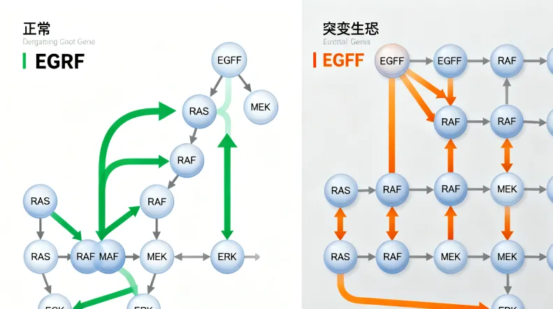 专业遗传咨询师解读报告场景