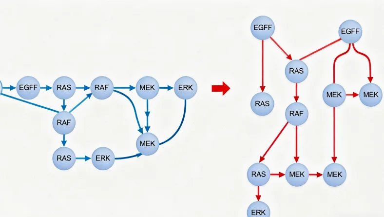 膀胱癌基因检测核心流程示意图