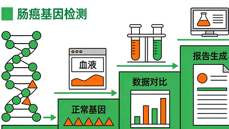 子宫内膜癌基因检测核心价值示意图
