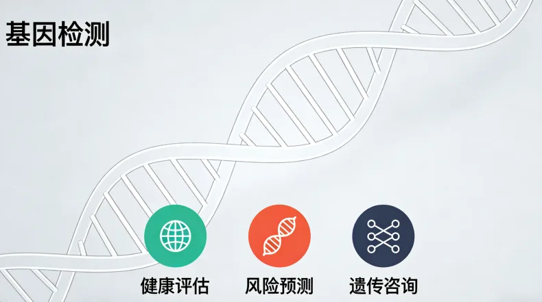 脑膜瘤基因检测全流程示意图