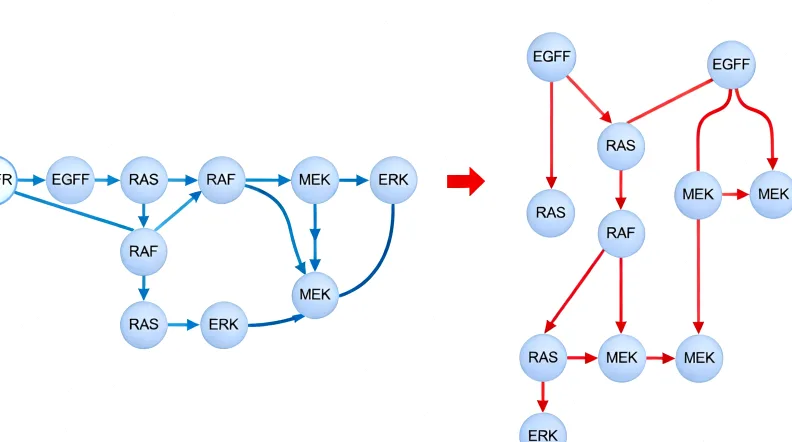 膀胱癌基因检测样本采集示意图