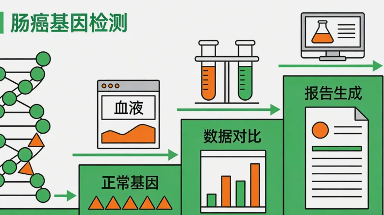 基因检测从样本到报告的完整流程示意图