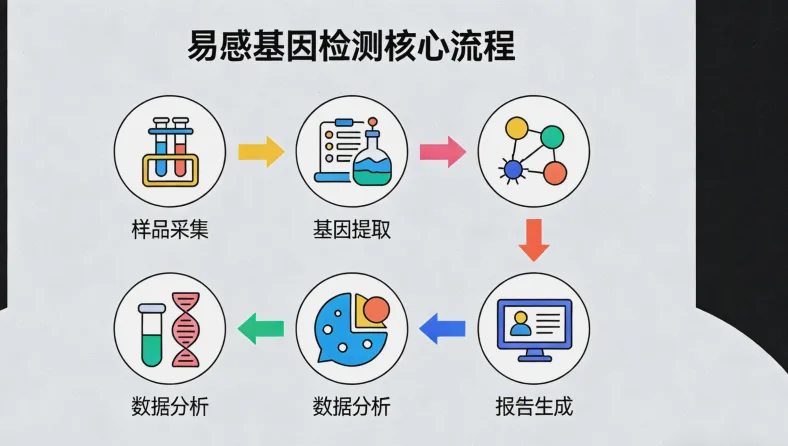 基因检测报告关键信息解读标注图