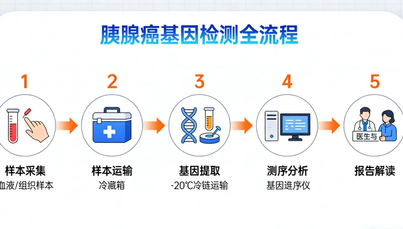 病理切片样本处理与DNA提取过程