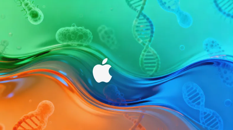 基因检测报告关键部分解读示例