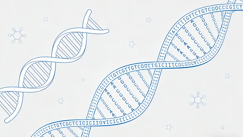 医生进行宫颈采样操作示意图