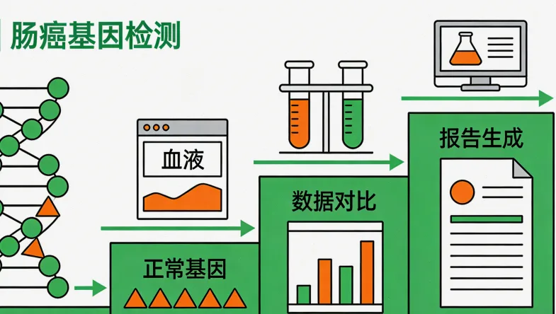 三沙子宫内膜癌基因检测哪里可以做大盘点(附2026年检测办理攻略)