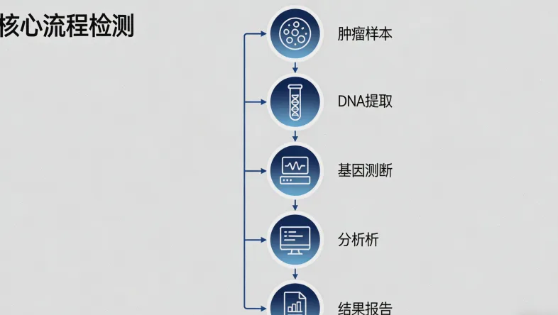 专业咨询师在进行检测前讲解