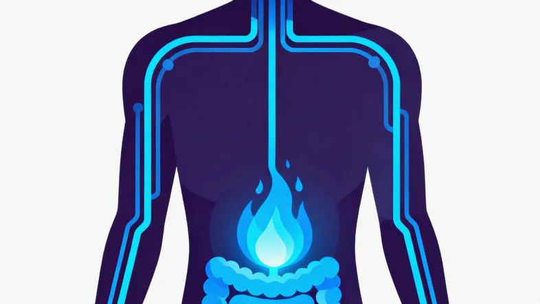 肝癌基因检测核心流程示意图