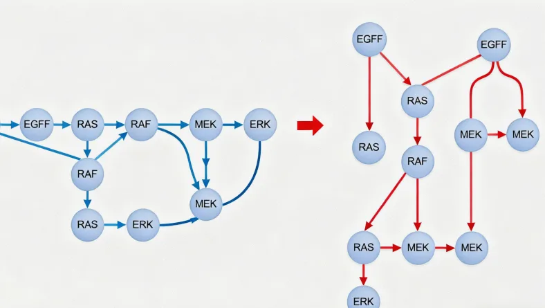 遗传咨询师与客户面对面沟通场景