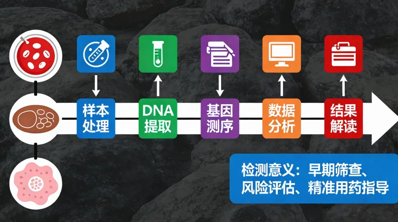 食管癌基因检测全流程示意图
