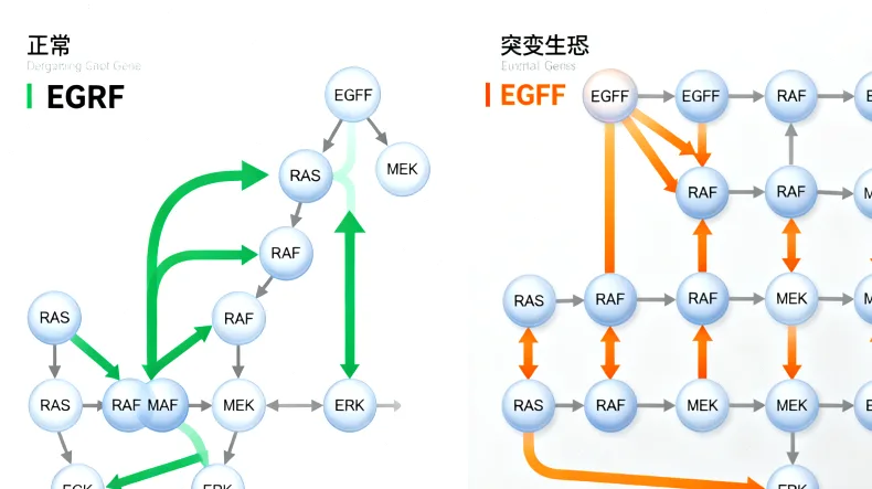 肿瘤组织样本与血液样本对比图