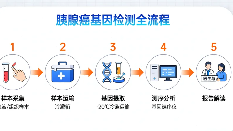 专业遗传咨询师进行一对一报告解读