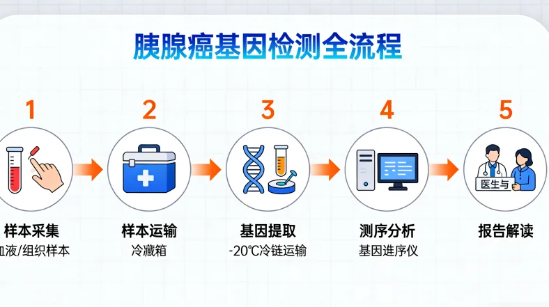 基因检测报告核心部分重点标注示例