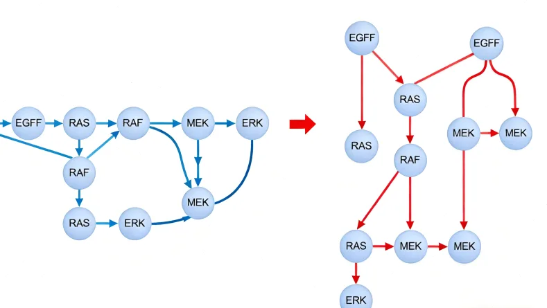 基因检测咨询专家与患者沟通场景