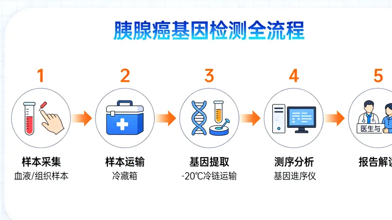 鼻咽癌基因检测核心靶点示意图