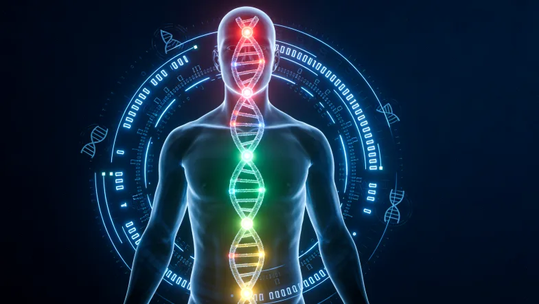 甲状腺细针穿刺采样过程示意图