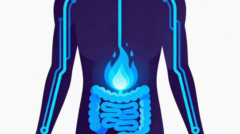 基因检测报告关键解读部分示例