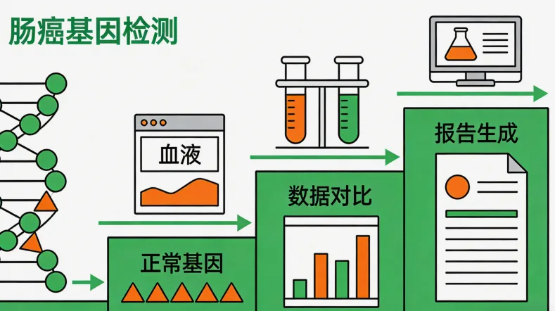 基因检测报告核心解读页面示意图