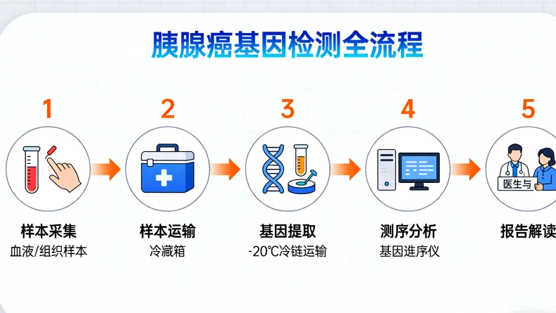 脑胶质瘤基因检测核心项目示意图