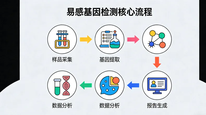 白血病基因检测样本采集过程示意图