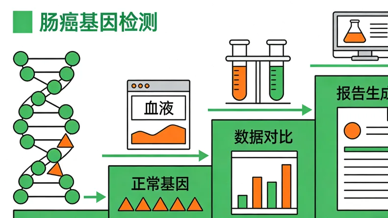 专业护士进行静脉血样本采集特写