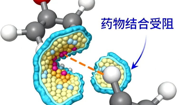 甲状腺癌基因检测核心流程示意图