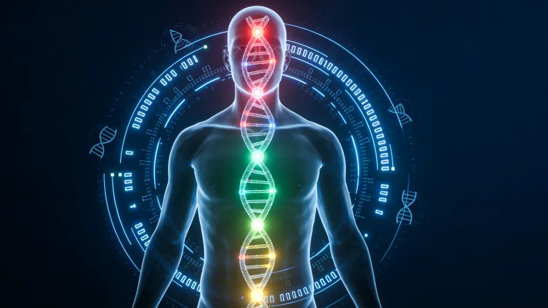 HPV病毒侵入宫颈细胞示意图