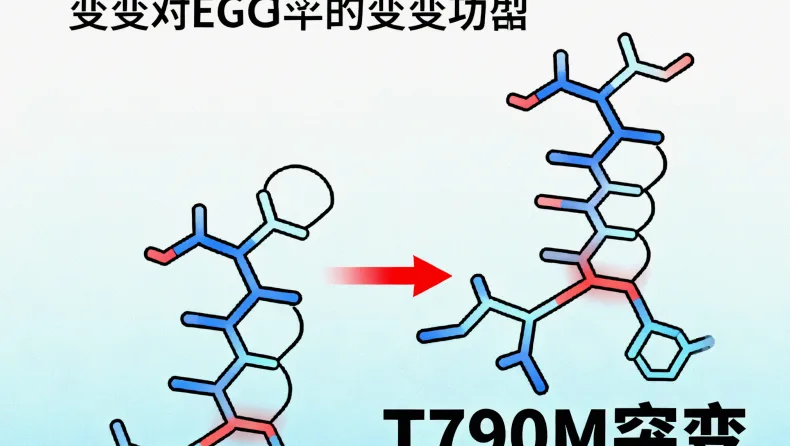 食管癌基因检测流程示意图