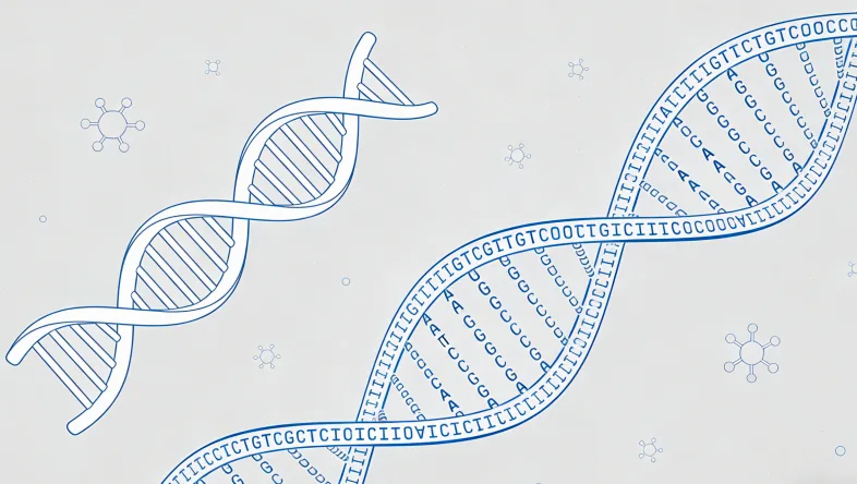 肿瘤病理切片（蜡块与白片）实物示例