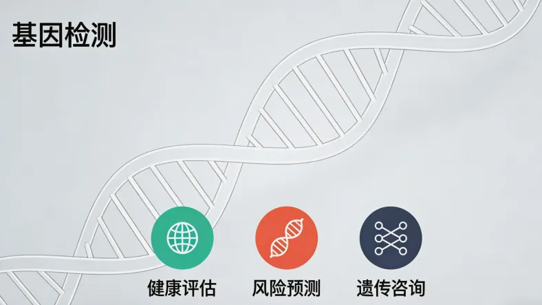 基因检测从取样到报告的完整流程示意图
