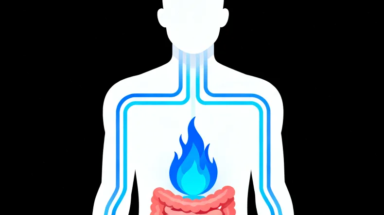 胃肠道间质瘤基因检测核心流程示意图