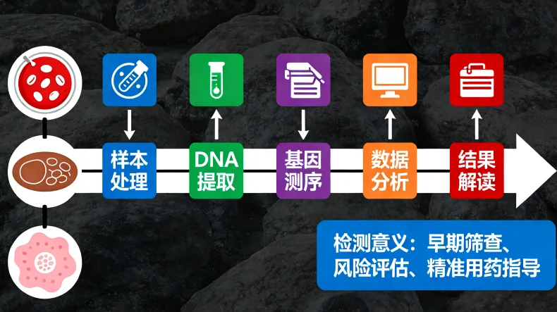 专业遗传咨询师进行报告解读场景