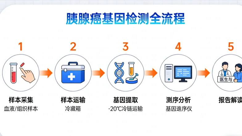 基因检测报告关键信息解读标注图
