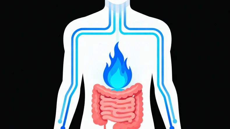 基因检测报告关键部分解读示例