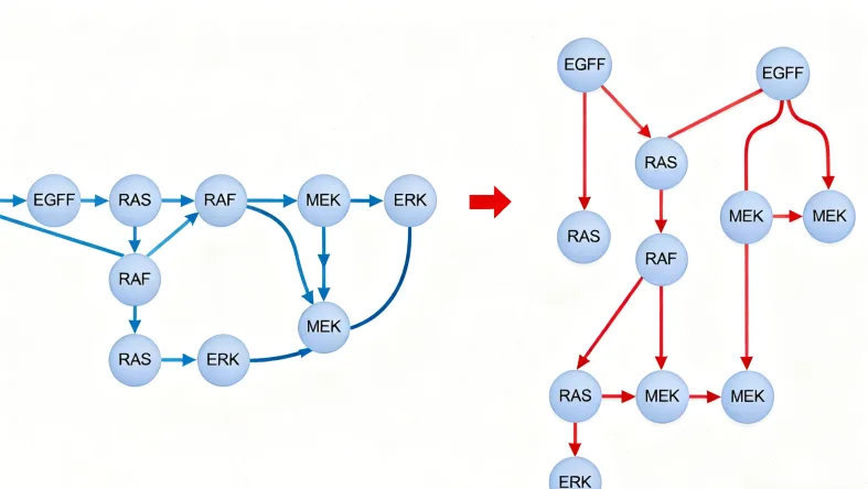 高州医生与患者沟通基因检测场景