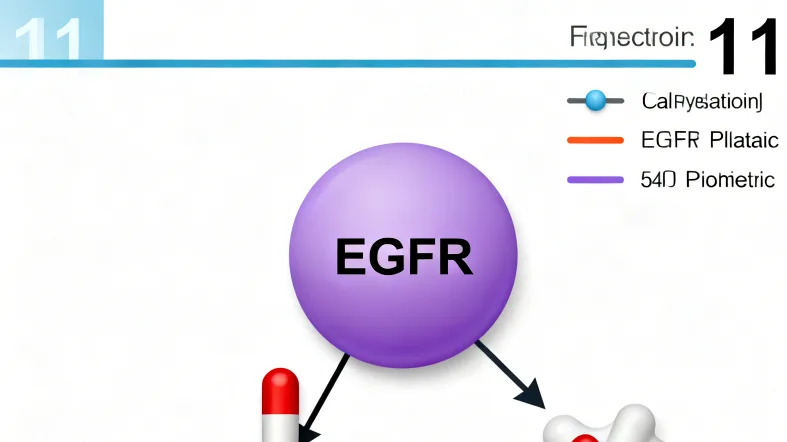 专业基因检测报告解读界面示意